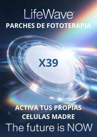 FS INVERSIONES SAS