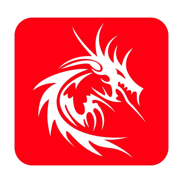 HOODIE CASA DRAGON